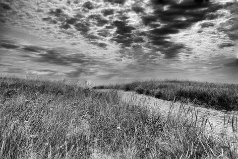 Nantucket Dunes White Modern Wood Framed Art Print with Double Matting by Aledanda