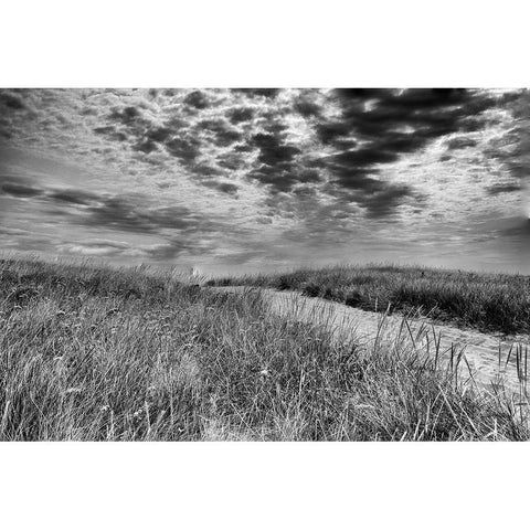 Nantucket Dunes Black Modern Wood Framed Art Print with Double Matting by Aledanda