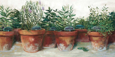 Pots of Herbs I White White Modern Wood Framed Art Print with Double Matting by Rowan, Carol