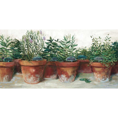 Pots of Herbs I White White Modern Wood Framed Art Print by Rowan, Carol