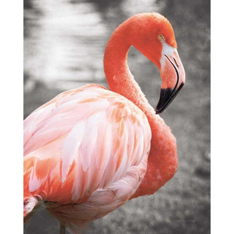Flamingo I on BW Gold Ornate Wood Framed Art Print with Double Matting by Van Swearingen, Debra