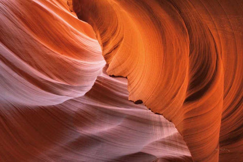 Lower Antelope Canyon I Black Ornate Wood Framed Art Print with Double Matting by Majchrowicz, Alan