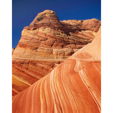 Coyote Buttes I Gold Ornate Wood Framed Art Print with Double Matting by Majchrowicz, Alan