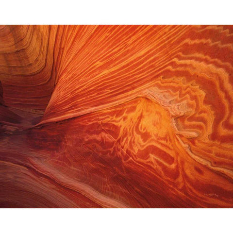 Coyote Buttes II Black Modern Wood Framed Art Print with Double Matting by Majchrowicz, Alan