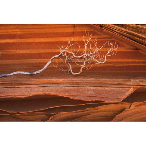 Coyote Buttes III Black Modern Wood Framed Art Print with Double Matting by Majchrowicz, Alan