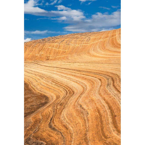 Coyote Buttes V Black Modern Wood Framed Art Print with Double Matting by Majchrowicz, Alan