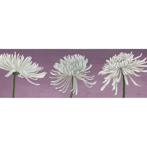 Morning Chrysanthemums V Lavender Black Modern Wood Framed Art Print by Lovell, Kathrine