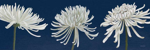 Morning Chrysanthemums V Dark Blue White Modern Wood Framed Art Print with Double Matting by Lovell, Kathrine