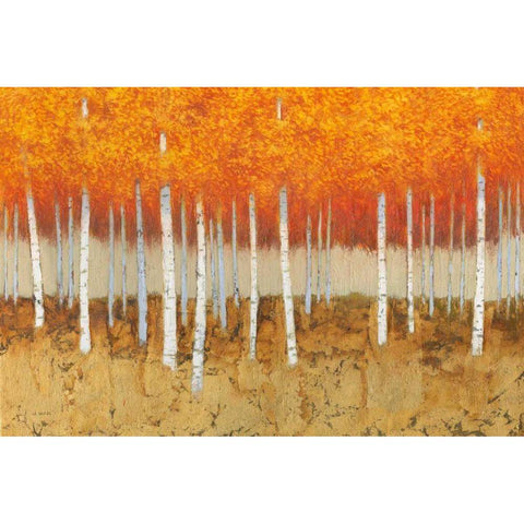 Autumn Birches Black Modern Wood Framed Art Print with Double Matting by Wiens, James