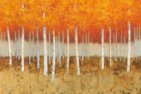 Autumn Birches White Modern Wood Framed Art Print with Double Matting by Wiens, James