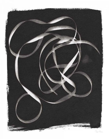 Nature By The Lake Ribbon II BW Black Ornate Wood Framed Art Print with Double Matting by Rhue, Piper