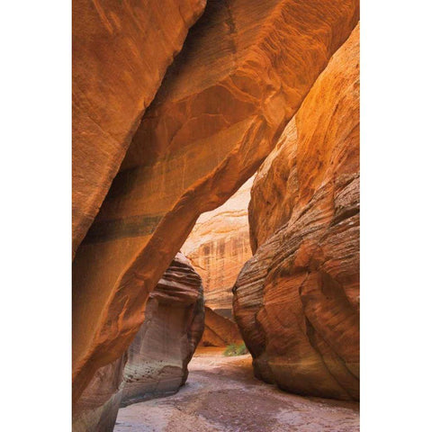 Buckskin Gulch I White Modern Wood Framed Art Print by Majchrowicz, Alan