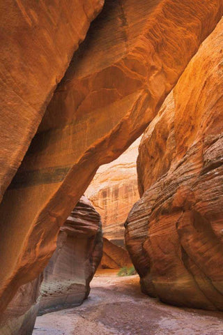 Buckskin Gulch I White Modern Wood Framed Art Print with Double Matting by Majchrowicz, Alan