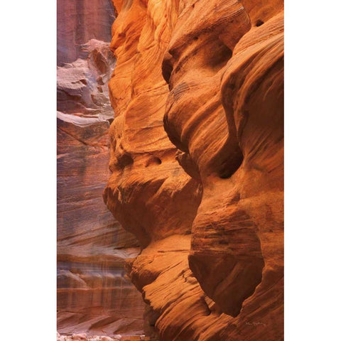 Buckskin Gulch III Black Modern Wood Framed Art Print by Majchrowicz, Alan