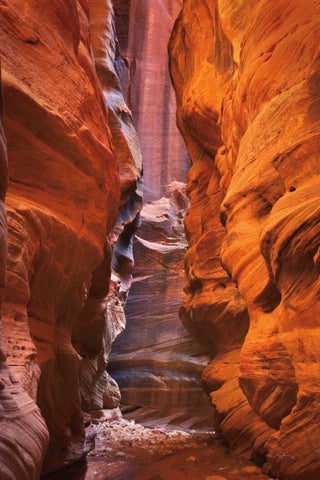 Buckskin Gulch IV Black Ornate Wood Framed Art Print with Double Matting by Majchrowicz, Alan