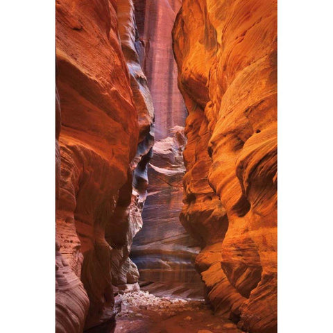 Buckskin Gulch IV Black Modern Wood Framed Art Print with Double Matting by Majchrowicz, Alan