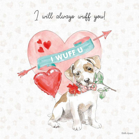 Paws of Love II White Modern Wood Framed Art Print with Double Matting by Grove, Beth