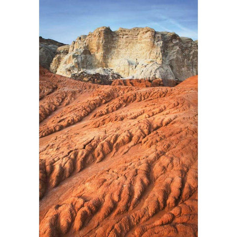 Grand Staircase II Gold Ornate Wood Framed Art Print with Double Matting by Majchrowicz, Alan