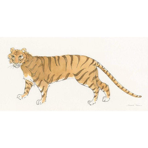Big Cats I Black Modern Wood Framed Art Print with Double Matting by Thomas, Miranda