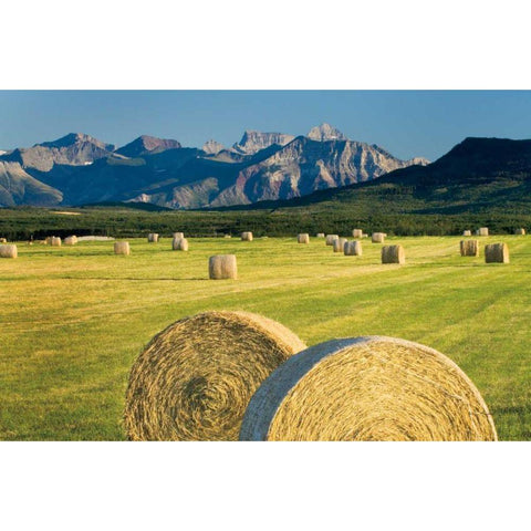 Waterton Hay Bales Gold Ornate Wood Framed Art Print with Double Matting by Majchrowicz, Alan