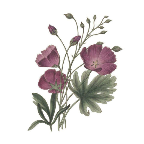 Monument Etching Tile Flowers III Gold Ornate Wood Framed Art Print with Double Matting by Wild Apple Portfolio