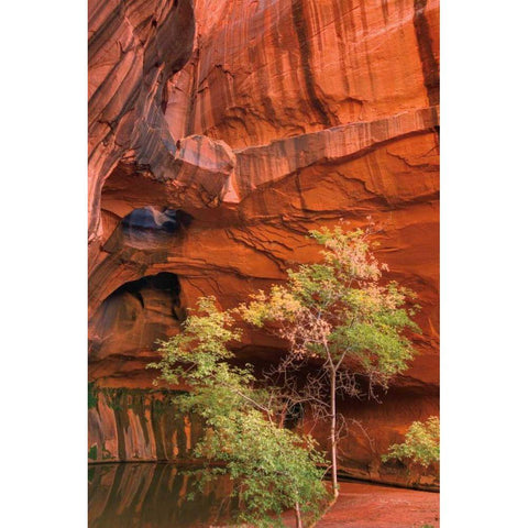 Neon Canyon III Black Modern Wood Framed Art Print with Double Matting by Majchrowicz, Alan