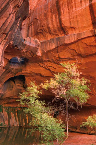 Neon Canyon III White Modern Wood Framed Art Print with Double Matting by Majchrowicz, Alan