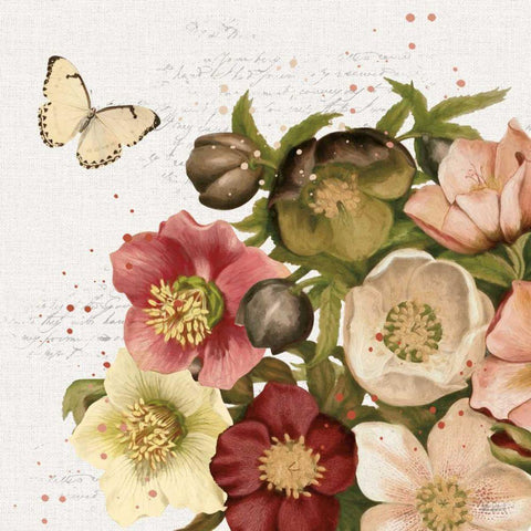 Vintage Petals II White Modern Wood Framed Art Print by Pertiet, Katie