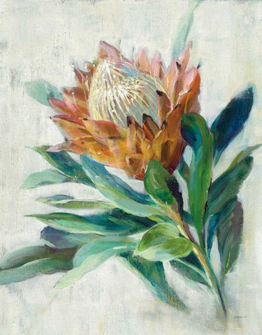 Protea Black Ornate Wood Framed Art Print with Double Matting by Nai, Danhui