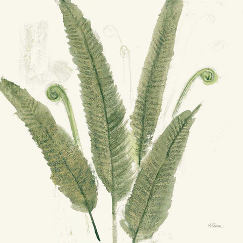 Forest Ferns II Dark White Modern Wood Framed Art Print with Double Matting by Hristova, Albena