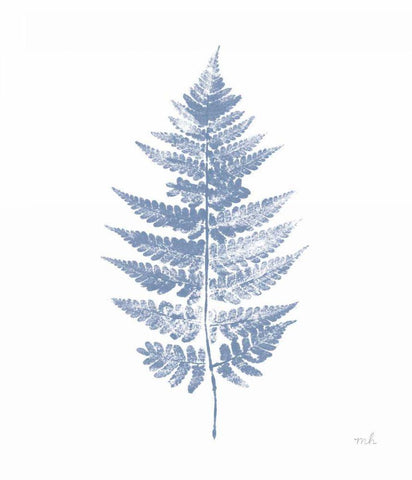 Fern Print I Blue No Shiplap White Modern Wood Framed Art Print with Double Matting by Hershey, Moira