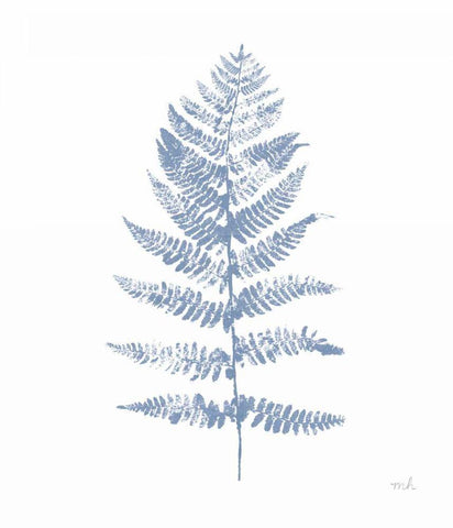 Fern Print II Blue No Shiplap Black Ornate Wood Framed Art Print with Double Matting by Hershey, Moira