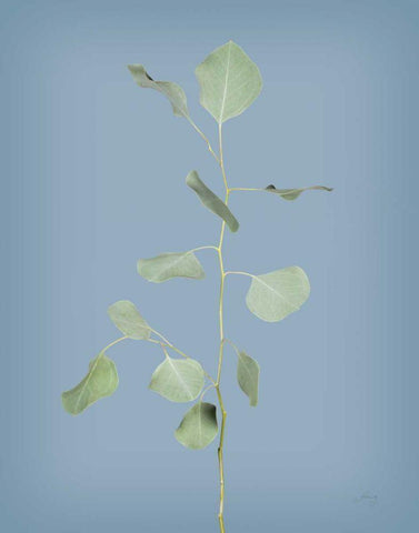 Simple Stems I Blue Crop White Modern Wood Framed Art Print with Double Matting by Bradley, Felicity