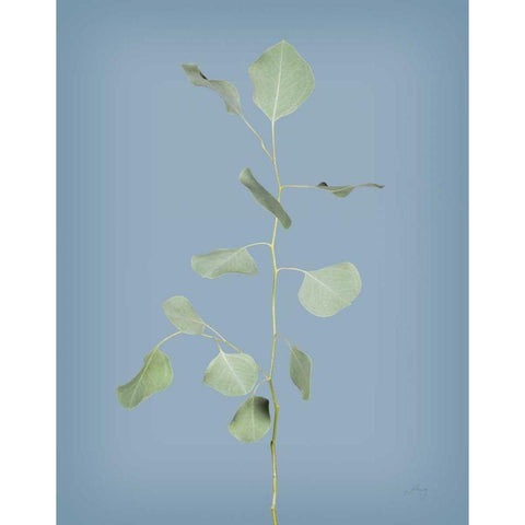 Simple Stems I Blue Crop Gold Ornate Wood Framed Art Print with Double Matting by Bradley, Felicity