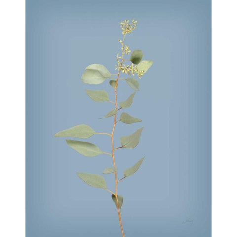 Simple Stems II Blue Crop Gold Ornate Wood Framed Art Print with Double Matting by Bradley, Felicity