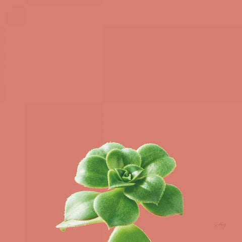 Succulent Simplicity VII Coral Gold Ornate Wood Framed Art Print with Double Matting by Bradley, Felicity