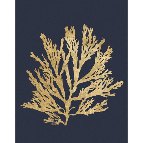 Pacific Sea Mosses I Indigo Black Modern Wood Framed Art Print with Double Matting by Wild Apple Portfolio