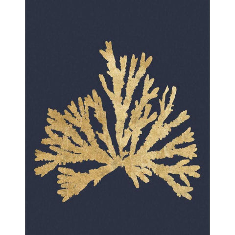 Pacific Sea Mosses IV Indigo Gold Ornate Wood Framed Art Print with Double Matting by Wild Apple Portfolio