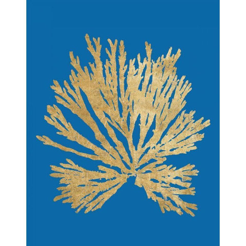 Pacific Sea Mosses II Blue Black Modern Wood Framed Art Print with Double Matting by Wild Apple Portfolio