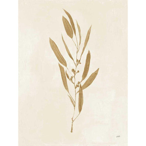 Botanical Study I Gold Crop White Modern Wood Framed Art Print by Purinton, Julia