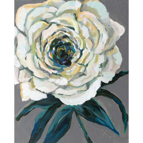 Rose White Modern Wood Framed Art Print by Vertentes, Jeanette