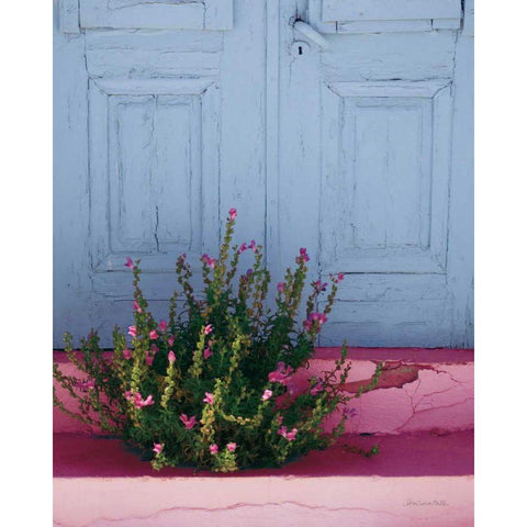 Santorini I Spring Crop Black Modern Wood Framed Art Print with Double Matting by Miller, Sara Zieve