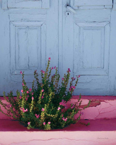 Santorini I Spring Crop White Modern Wood Framed Art Print with Double Matting by Miller, Sara Zieve