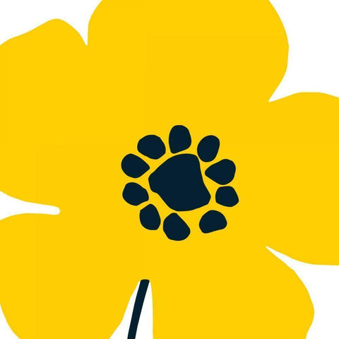 Pop Art Floral I Yellow Gold Ornate Wood Framed Art Print with Double Matting by Wild Apple Portfolio