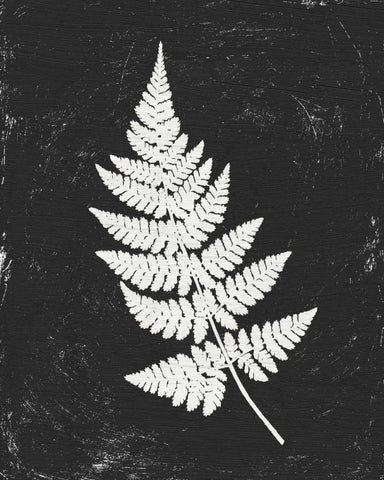 Forest Shadows I Black Crop Black Ornate Wood Framed Art Print with Double Matting by Hershey, Moira