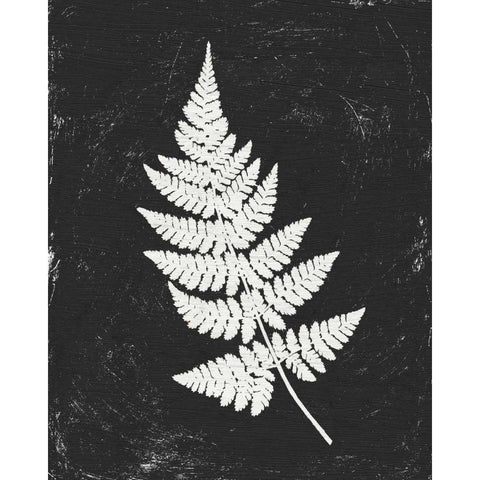 Forest Shadows I Black Crop White Modern Wood Framed Art Print by Hershey, Moira