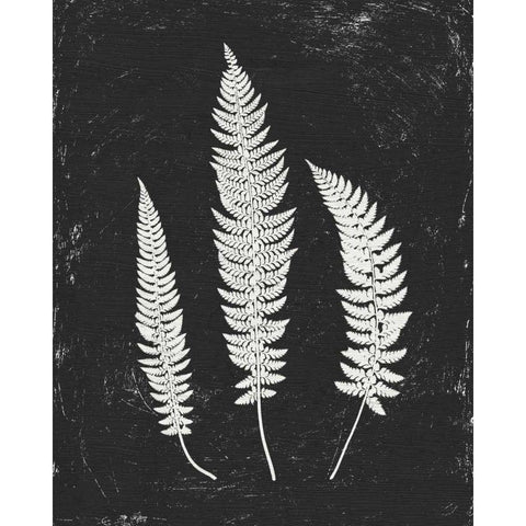 Forest Shadows II Black Crop Black Modern Wood Framed Art Print with Double Matting by Hershey, Moira