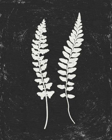 Forest Shadows III Black Crop Black Ornate Wood Framed Art Print with Double Matting by Hershey, Moira