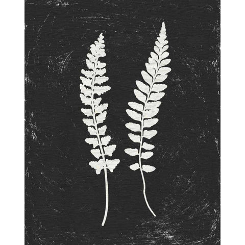 Forest Shadows III Black Crop Black Modern Wood Framed Art Print with Double Matting by Hershey, Moira