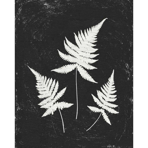 Forest Shadows IV Black Crop Gold Ornate Wood Framed Art Print with Double Matting by Hershey, Moira